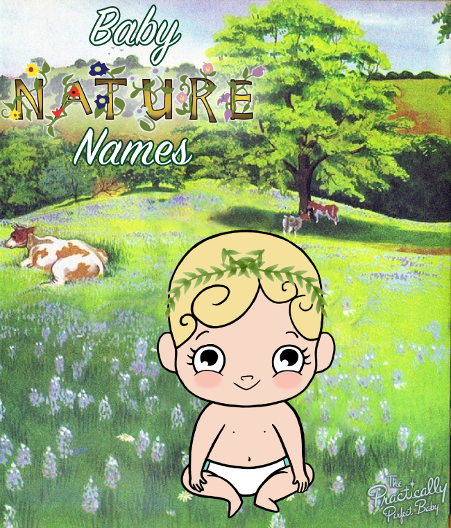The Practically Perfect Baby - Nature Baby NamesThe ...